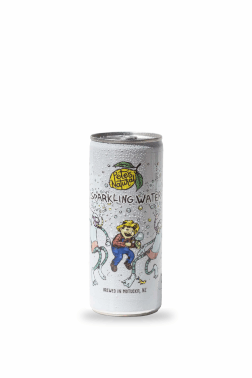 Sparkling Water - 12 Pack - Cans