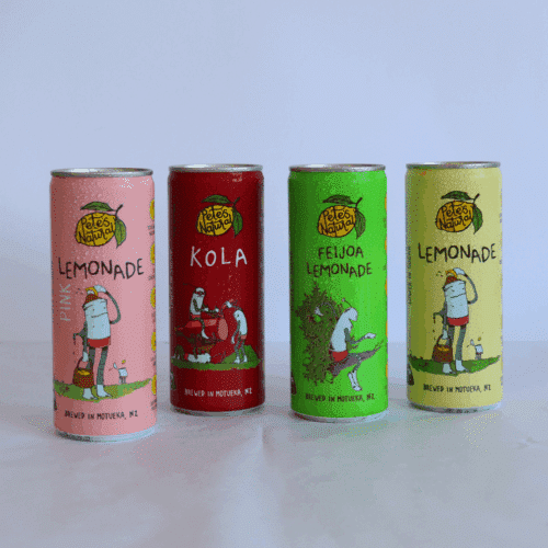 4 flavours can Combo Pack - 4 x 12 Pack - Lemonade - Kola - Feijoa Lemonade - Pink Lemonade
