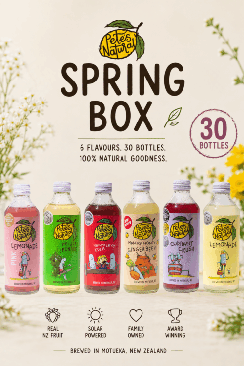 Spring Box 30 bottle mixed natural soda pack
