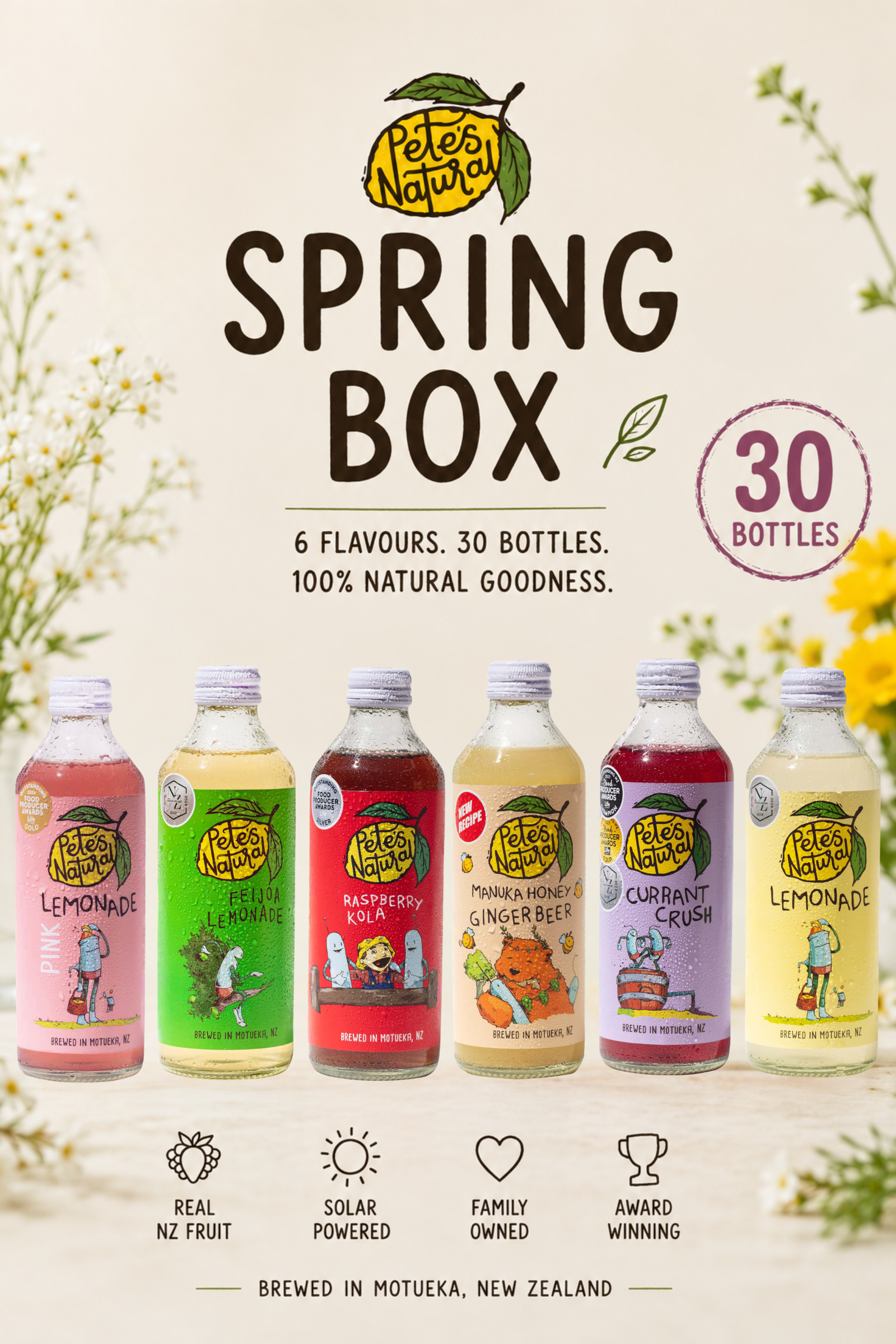 Spring Box 30 bottle mixed natural soda pack